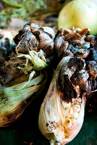 Huitlacoche