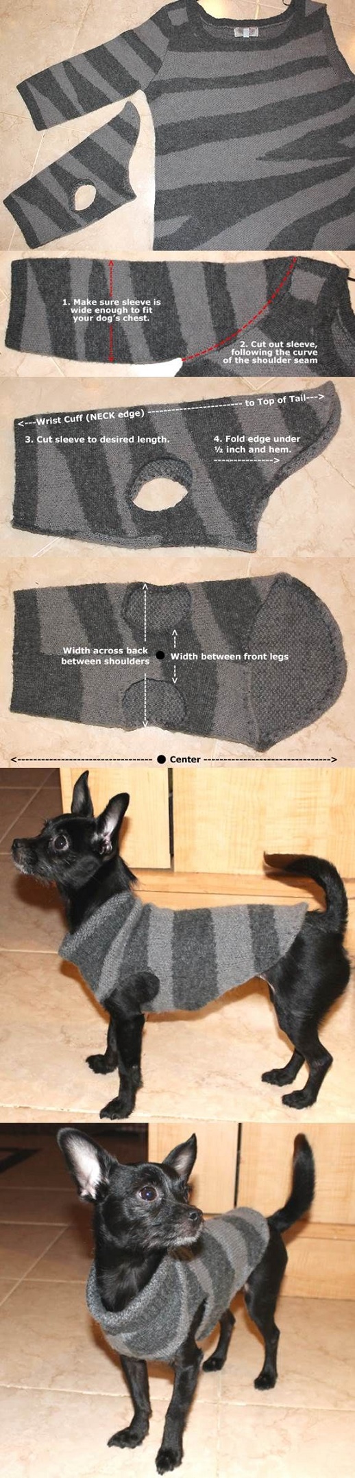 diy dog