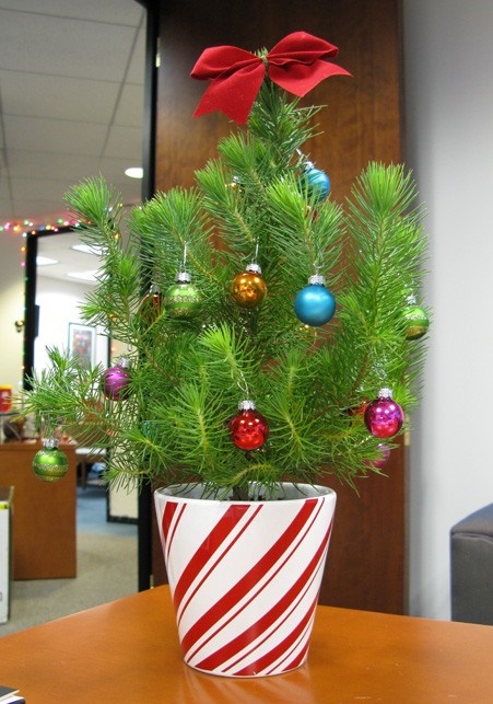 Depressing Office Christmas Decorations10