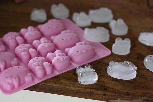 ice tray9
