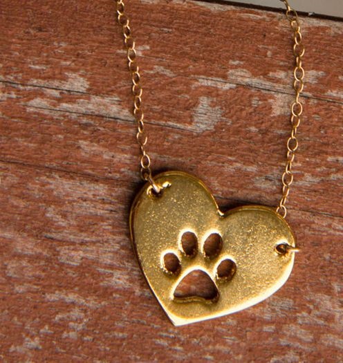 amantes de los perros