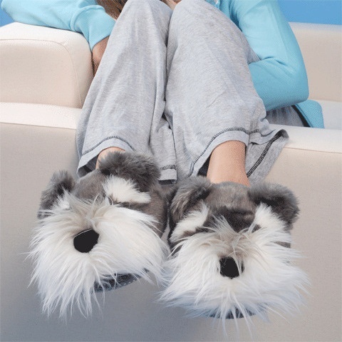 amantes de los perros2