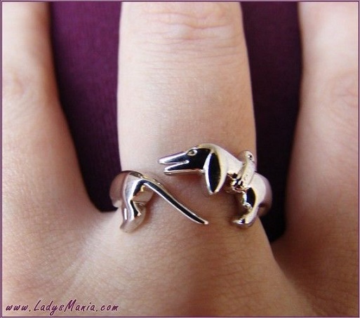 amantes de los perros3