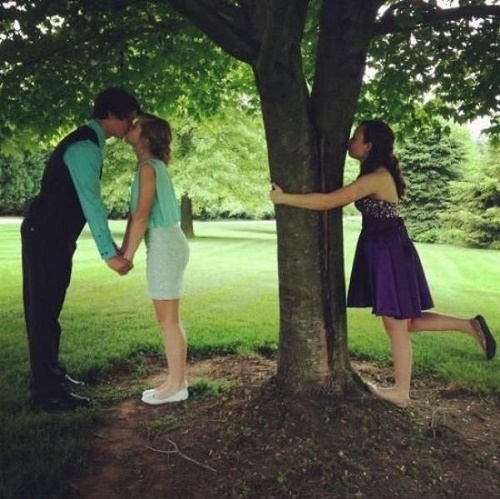 PUBLISHED by catsmob.com