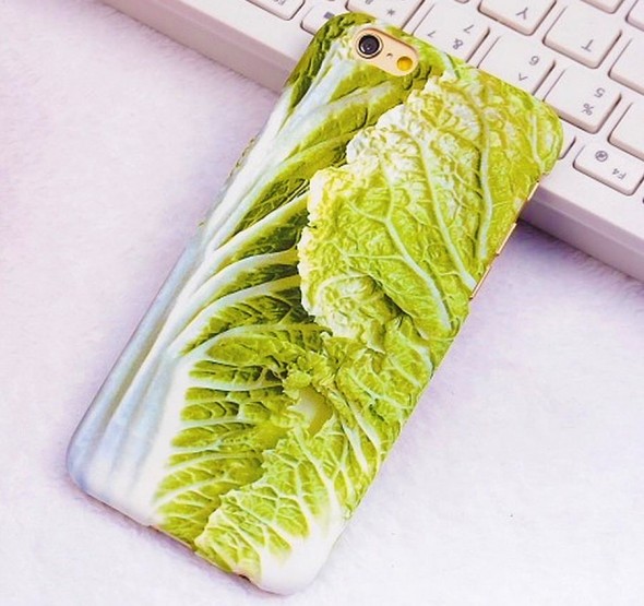 lechuga case