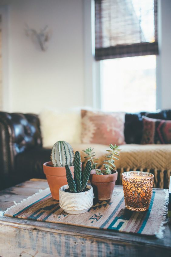 boho cactus