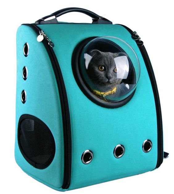 gato mochila