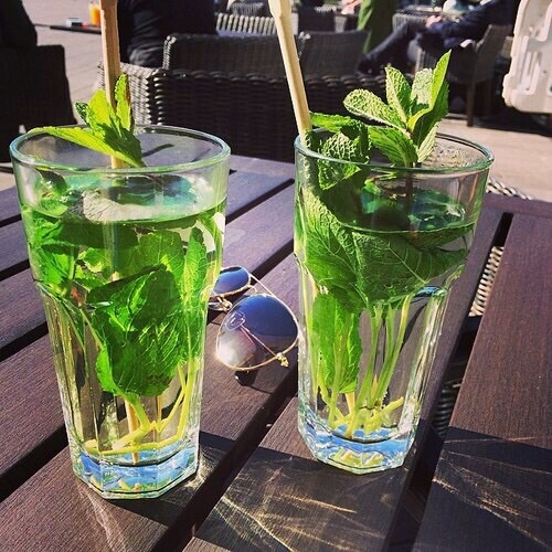 mint water