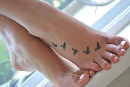 pies-aves